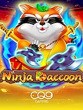 Ninja Raccoon
