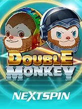 double-monkey
