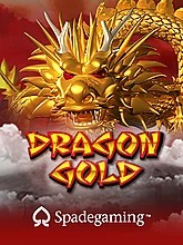 dragon-gold-sa